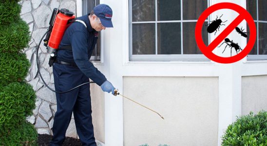 Kırkağaç Karınca İlaçlama böcek ilaçlama ve haşere kontrolü — ilaclama-tr.com